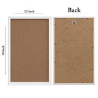 Modern Tropical Art  MDF Wall Frames Set Of 4
